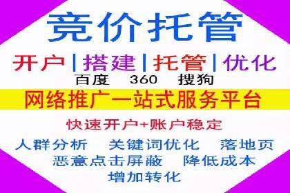 某品牌SEM运营托管的ROI提升之路